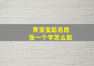 男宝宝起名姓张一个字怎么取