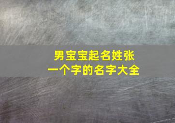 男宝宝起名姓张一个字的名字大全