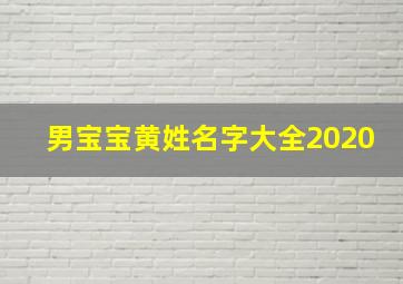 男宝宝黄姓名字大全2020