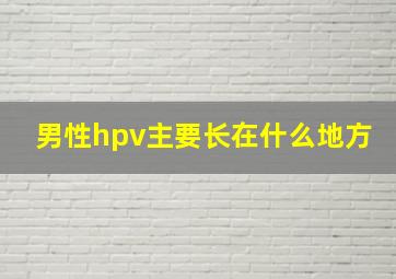 男性hpv主要长在什么地方