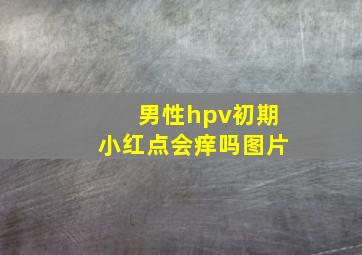 男性hpv初期小红点会痒吗图片