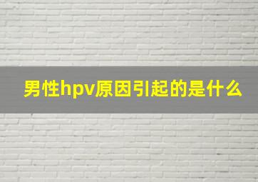 男性hpv原因引起的是什么