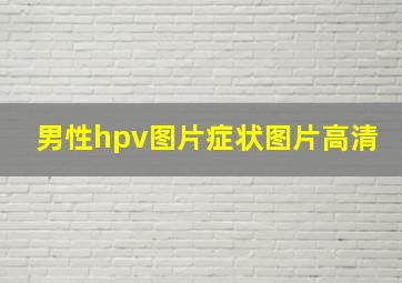 男性hpv图片症状图片高清