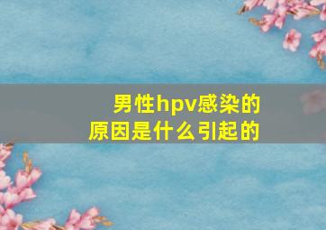 男性hpv感染的原因是什么引起的