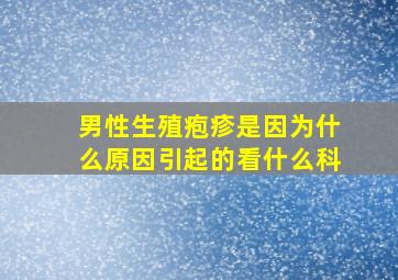 男性生殖疱疹是因为什么原因引起的看什么科