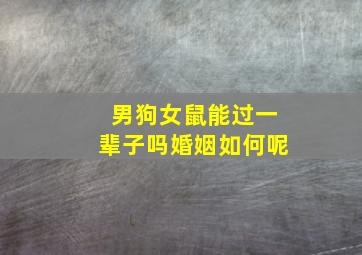 男狗女鼠能过一辈子吗婚姻如何呢