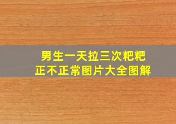 男生一天拉三次粑粑正不正常图片大全图解