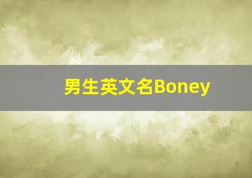 男生英文名Boney