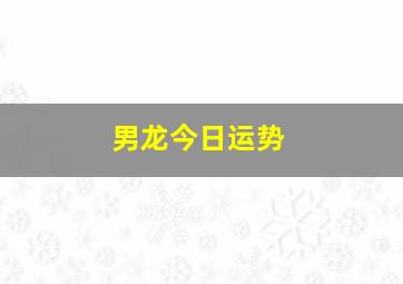 男龙今日运势