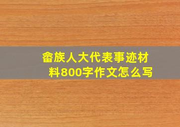 畲族人大代表事迹材料800字作文怎么写