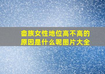 畲族女性地位高不高的原因是什么呢图片大全