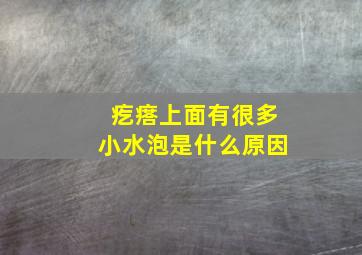 疙瘩上面有很多小水泡是什么原因