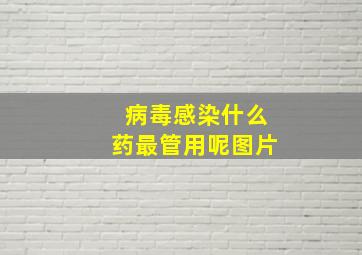 病毒感染什么药最管用呢图片