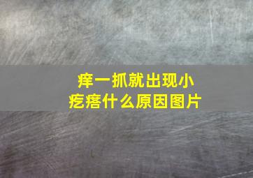 痒一抓就出现小疙瘩什么原因图片