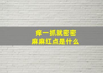 痒一抓就密密麻麻红点是什么