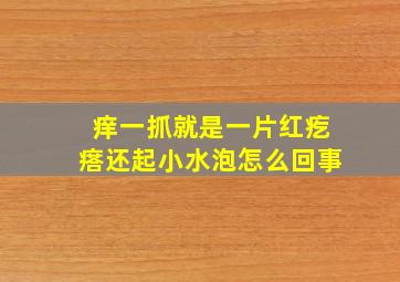 痒一抓就是一片红疙瘩还起小水泡怎么回事