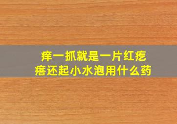 痒一抓就是一片红疙瘩还起小水泡用什么药