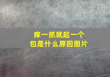 痒一抓就起一个包是什么原因图片