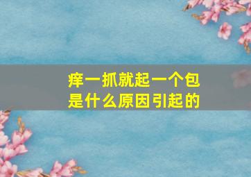 痒一抓就起一个包是什么原因引起的