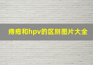 痔疮和hpv的区别图片大全