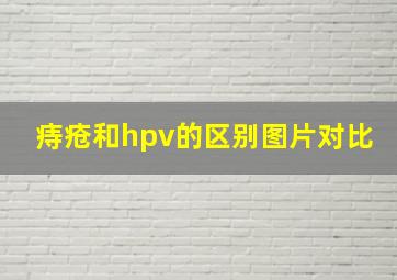 痔疮和hpv的区别图片对比