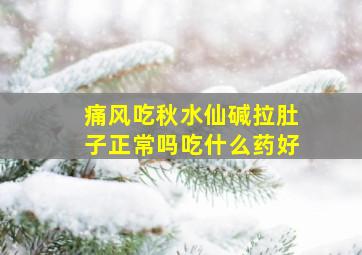 痛风吃秋水仙碱拉肚子正常吗吃什么药好