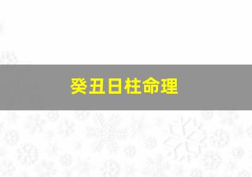 癸丑日柱命理