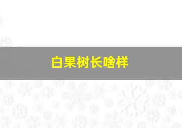 白果树长啥样