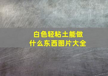 白色轻粘土能做什么东西图片大全