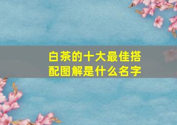 白茶的十大最佳搭配图解是什么名字