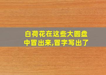 白荷花在这些大圆盘中冒出来,冒字写出了