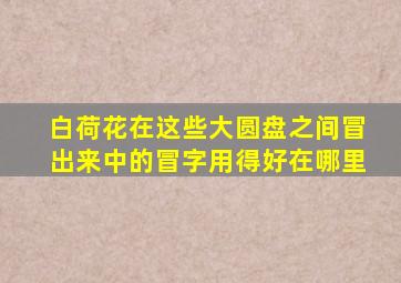 白荷花在这些大圆盘之间冒出来中的冒字用得好在哪里