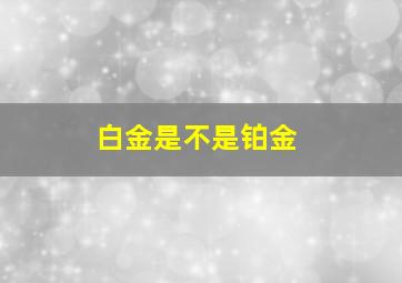 白金是不是铂金