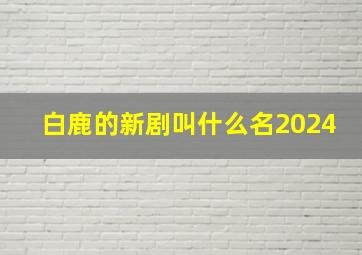 白鹿的新剧叫什么名2024