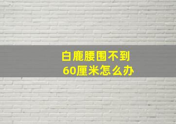 白鹿腰围不到60厘米怎么办