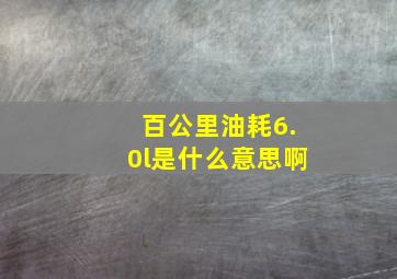 百公里油耗6.0l是什么意思啊