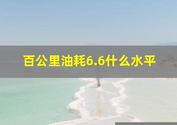 百公里油耗6.6什么水平