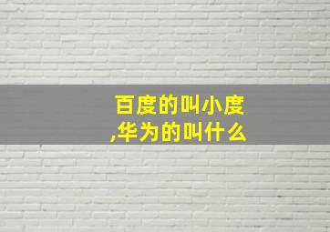 百度的叫小度,华为的叫什么