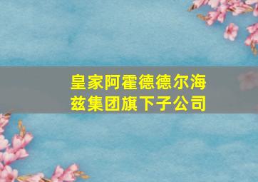 皇家阿霍德德尔海兹集团旗下子公司