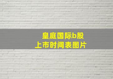 皇庭国际b股上市时间表图片