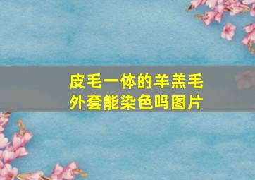 皮毛一体的羊羔毛外套能染色吗图片