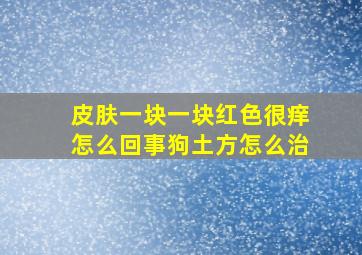 皮肤一块一块红色很痒怎么回事狗土方怎么治