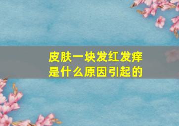 皮肤一块发红发痒是什么原因引起的