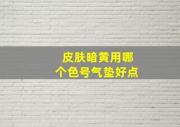 皮肤暗黄用哪个色号气垫好点