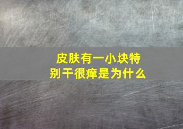 皮肤有一小块特别干很痒是为什么