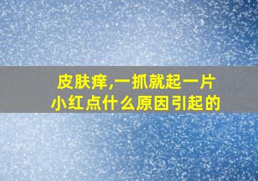 皮肤痒,一抓就起一片小红点什么原因引起的