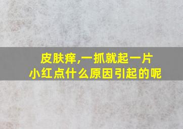 皮肤痒,一抓就起一片小红点什么原因引起的呢