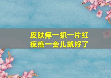 皮肤痒一抓一片红疙瘩一会儿就好了