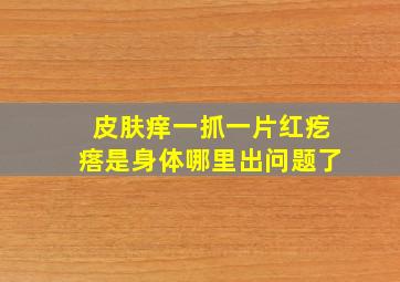 皮肤痒一抓一片红疙瘩是身体哪里出问题了