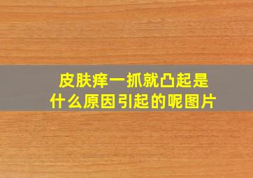 皮肤痒一抓就凸起是什么原因引起的呢图片